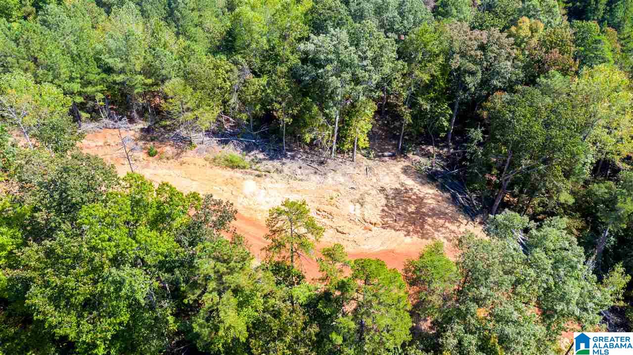 0 County Road 297 Cullman, AL 35057 - Photo 14 of 48