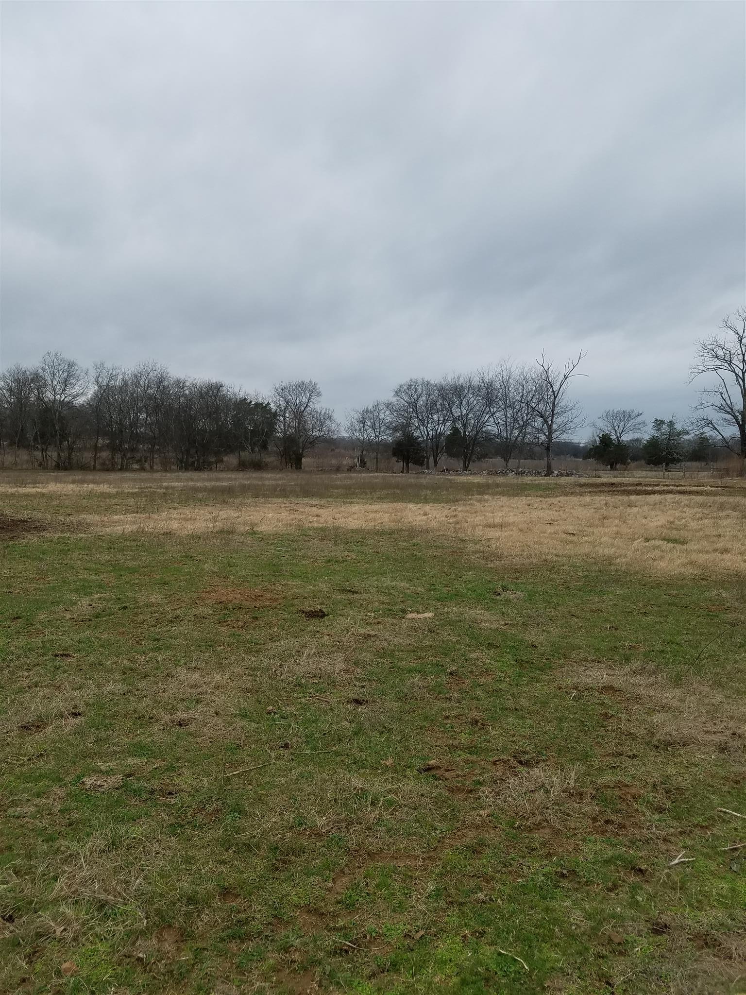 2 Big Springs Road Lebanon, TN 37087 - Photo 5 of 5