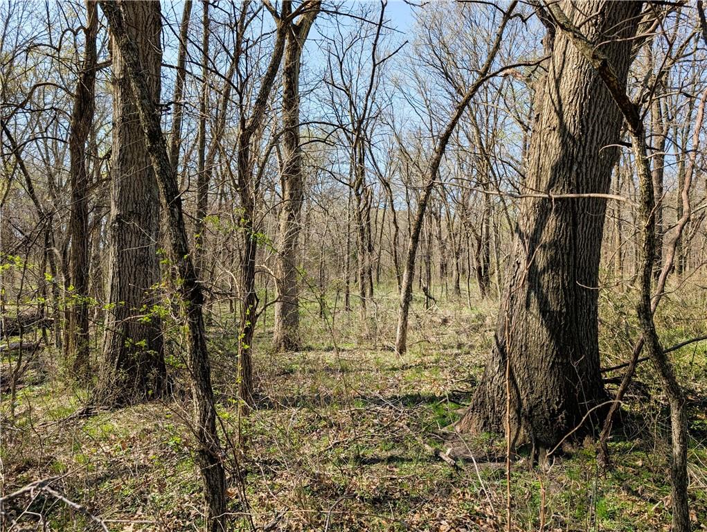 U Highway Hamilton, MO 64644 - Photo 15 of 27