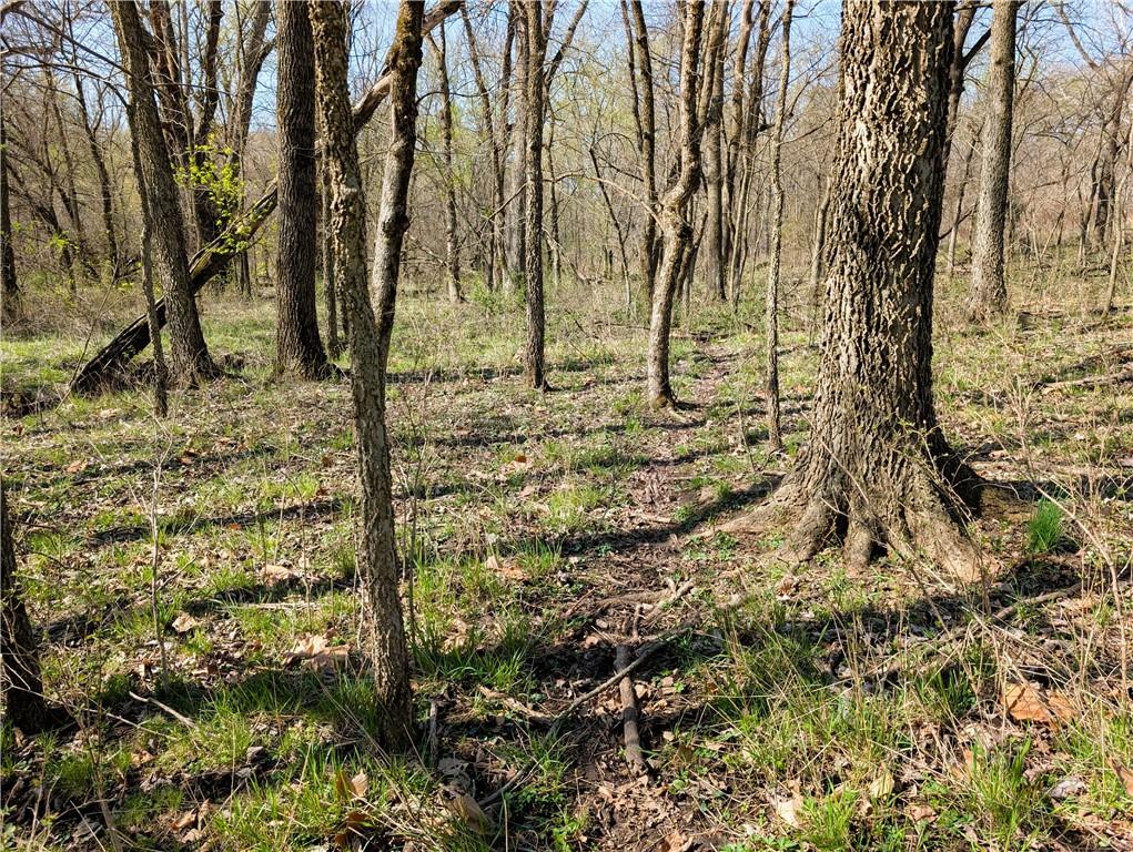 U Highway Hamilton, MO 64644 - Photo 16 of 27