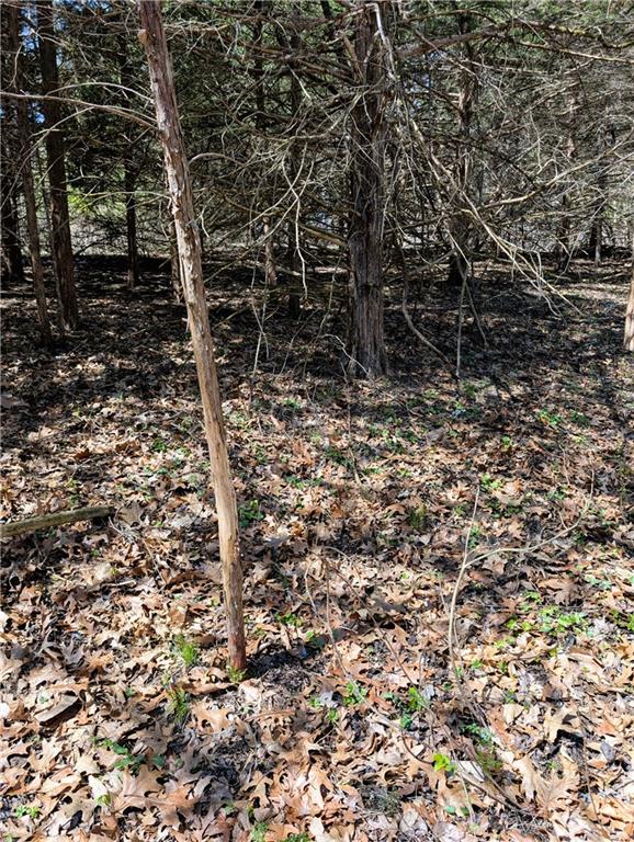 U Highway Hamilton, MO 64644 - Photo 27 of 27