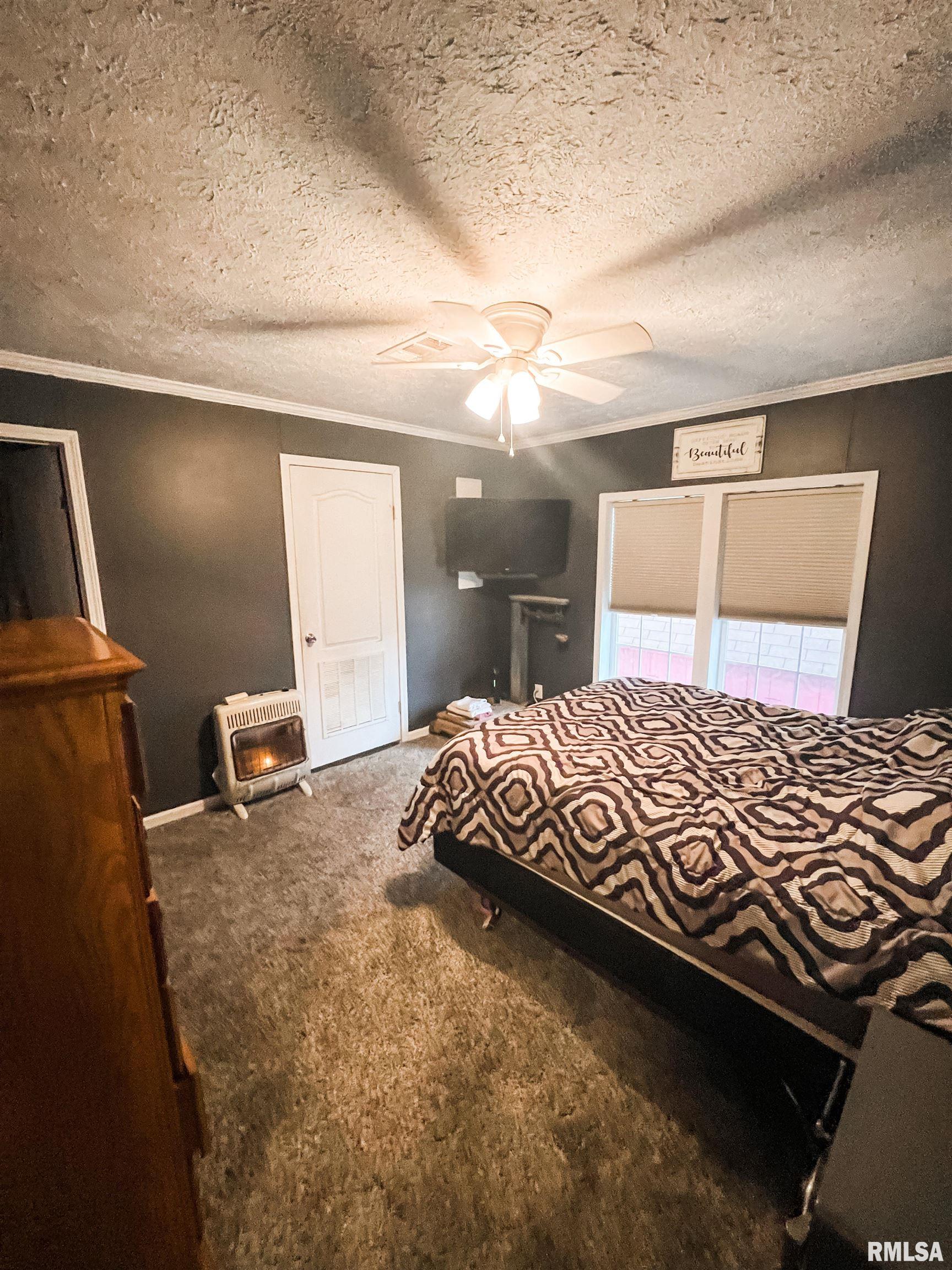 6939 Macedonia Road Thompsonville, IL 62890 - Photo 9 of 28