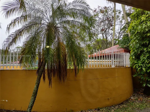 a view of a park with plants and trees