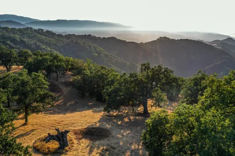 a view of a town with mountains in the background