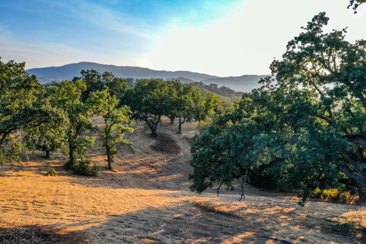 21 Longridge Trail Carmel, CA 93923 - Photo 5 of 12 a view of a town with mountains in the background
