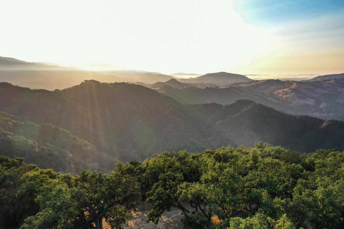 21 Longridge Trail Carmel, CA 93923 - Photo 8 of 12 an aerial view of houses covered in trees