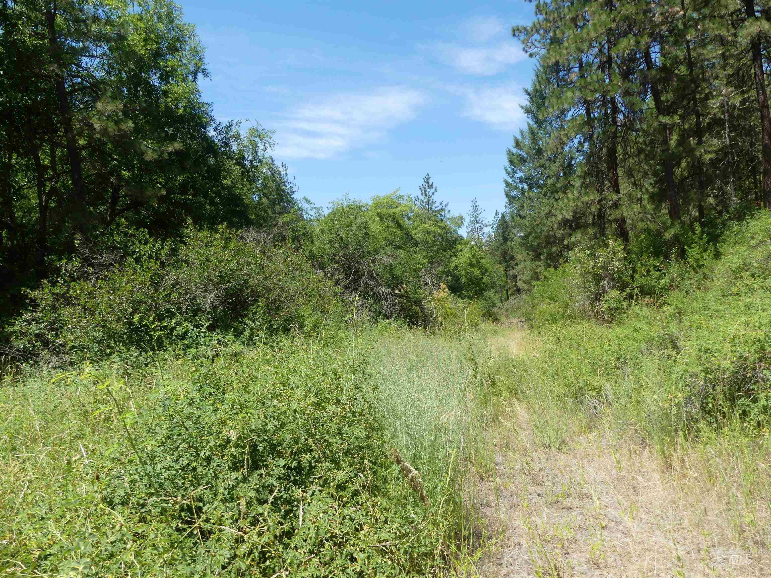 46601 Little Canyon Road Orofino, ID 83544 - Photo 21 of 46