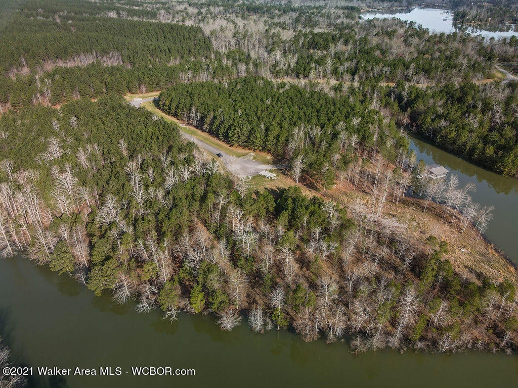 Lot#89 Stoney Point Road North Double Springs, AL 35553 - Photo 23 of 32 Gallery Image 23