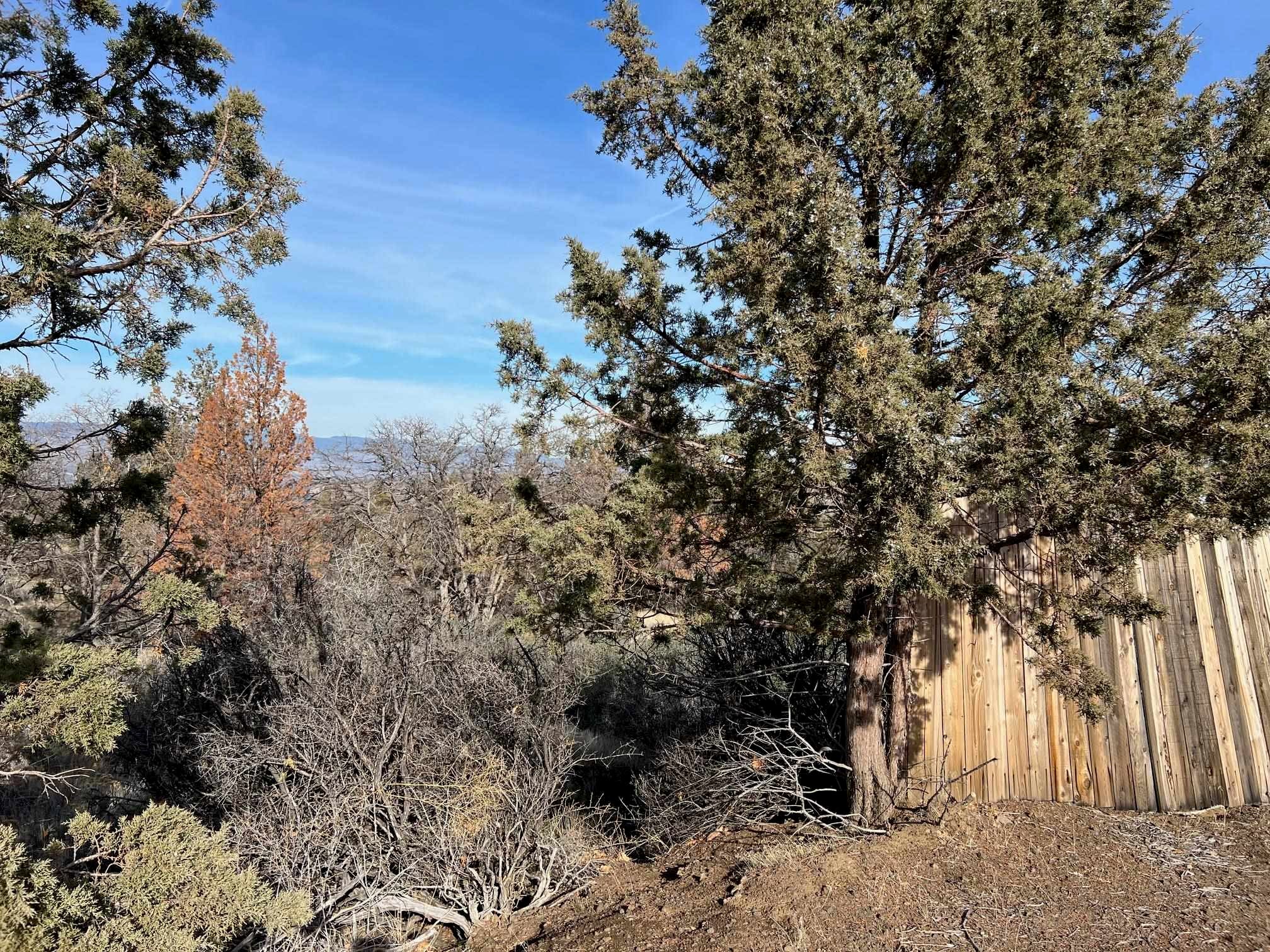 95 Moore Road Hornbrook, CA 96044 - Photo 9 of 20 Gallery Image 9