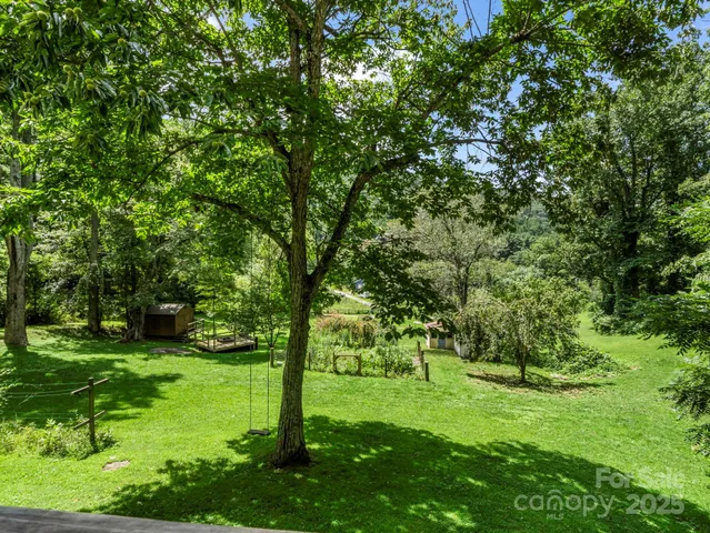 a view of a trees with a yard