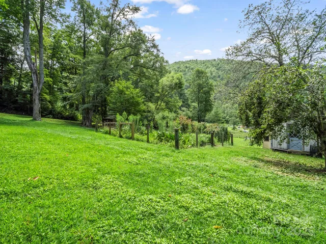 a view of a grassy field with trees in the background