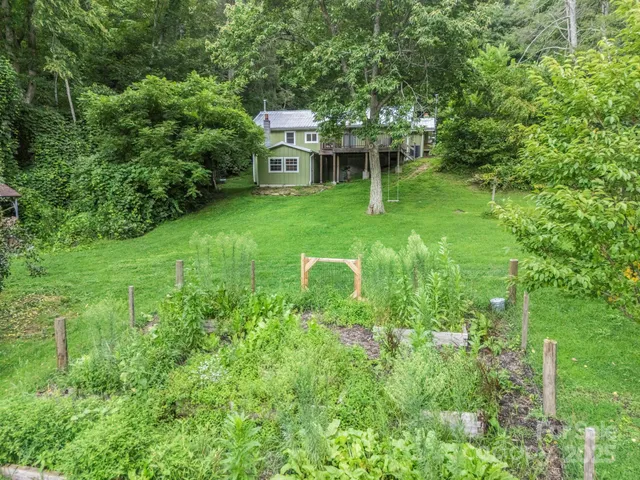 a view of a backyard with plants and large trees