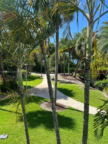 a view of a park with plants