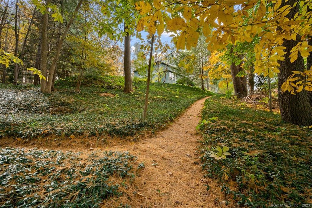 81 Spring Street Chester, CT 06412 - Photo 1 of 1 a view of a yard with plants and trees