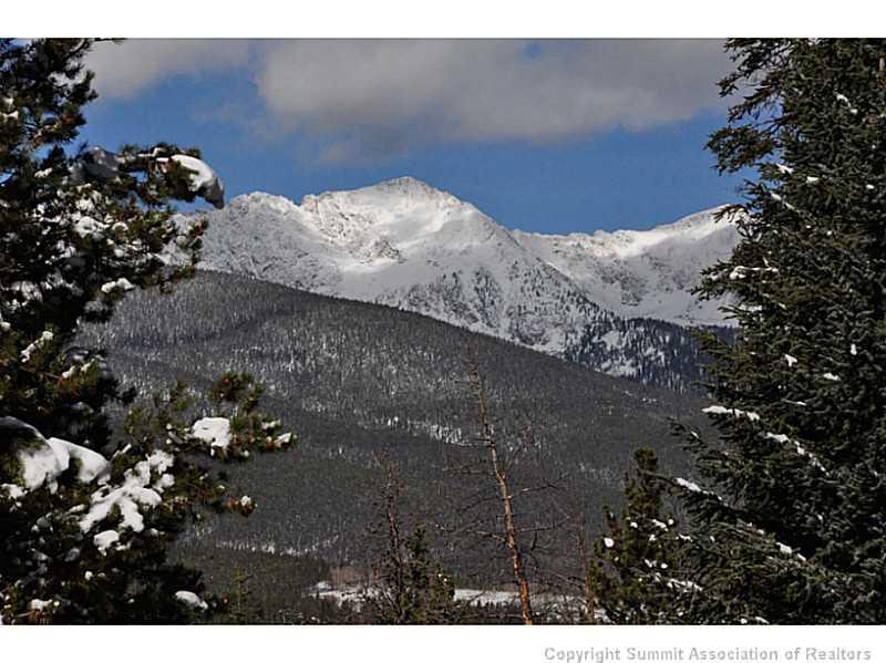 248 Bearing Tree Road Breckenridge, CO 80424 - Photo 14 of 25 a view of a tree