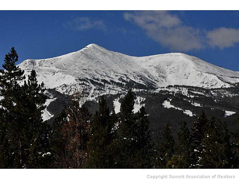 248 Bearing Tree Road Breckenridge, CO 80424 - Photo 3 of 25 a view of a dry area