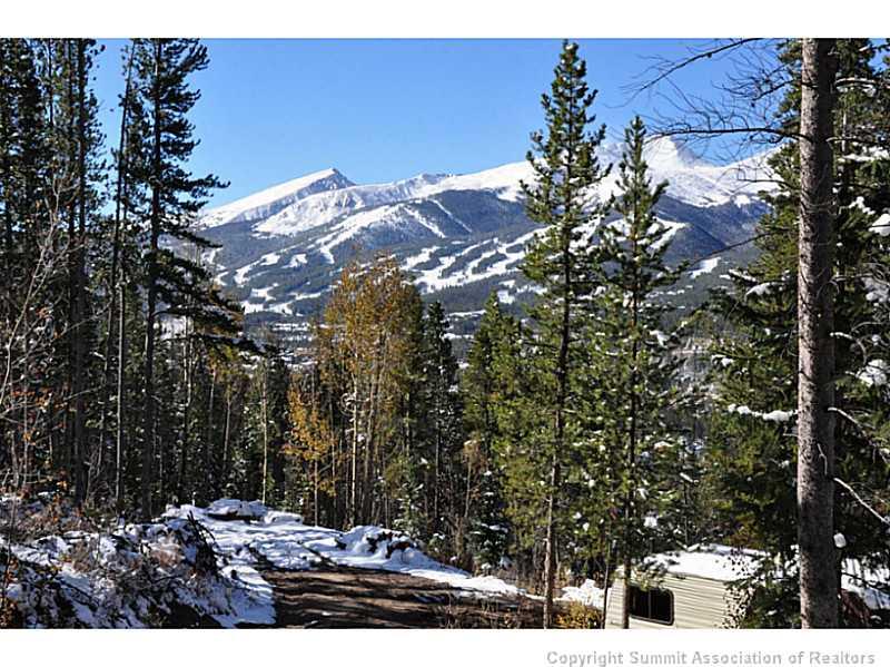 248 Bearing Tree Road Breckenridge, CO 80424 - Photo 5 of 25 a view of outdoor space and yard