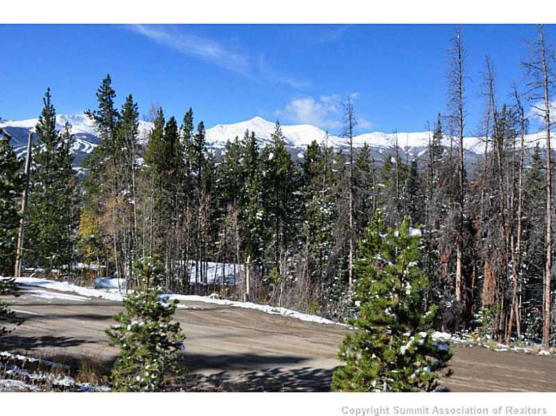 248 Bearing Tree Road Breckenridge, CO 80424 - Photo 7 of 25 a view of outdoor space and yard