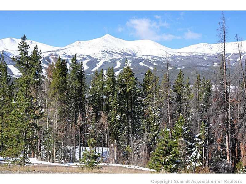 248 Bearing Tree Road Breckenridge, CO 80424 - Photo 8 of 25 a view of a mountain from a yard