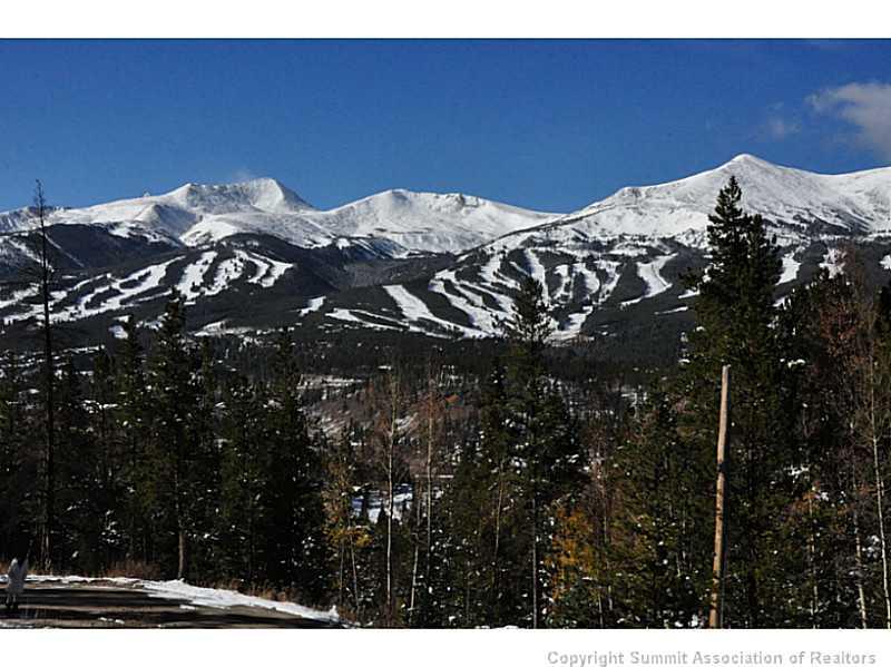 248 Bearing Tree Road Breckenridge, CO 80424 - Photo 10 of 25 a view of a large building
