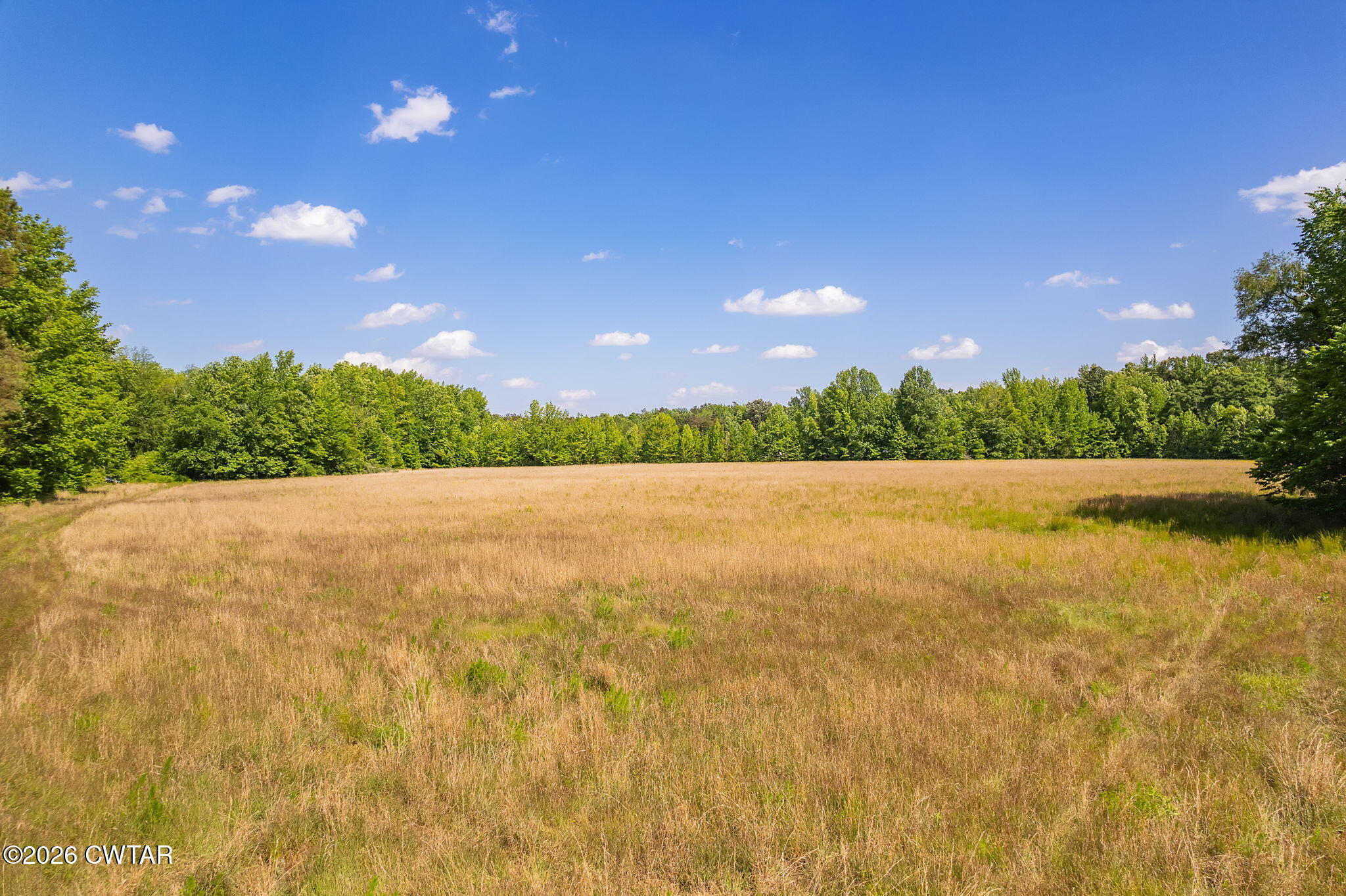 0 Plainview Road Henderson, TN 38340 - Photo 3 of 25 land 3