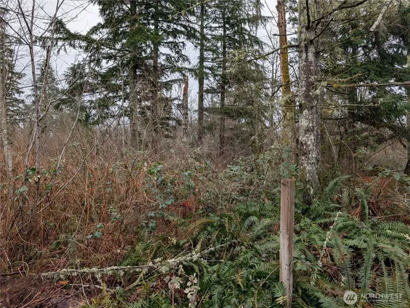 a close up of a tree