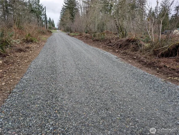 a view of a dirt road with trees