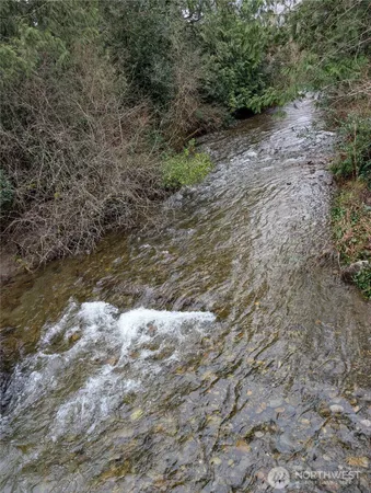a view of a pathway with a yard