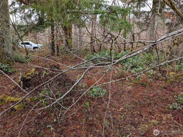 a backyard of a house with lots of green space and trees