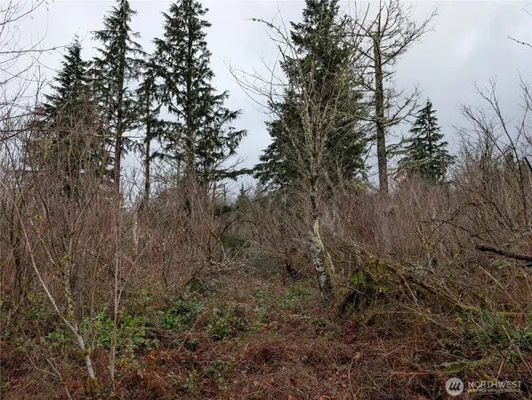 a view of a yard with a tree