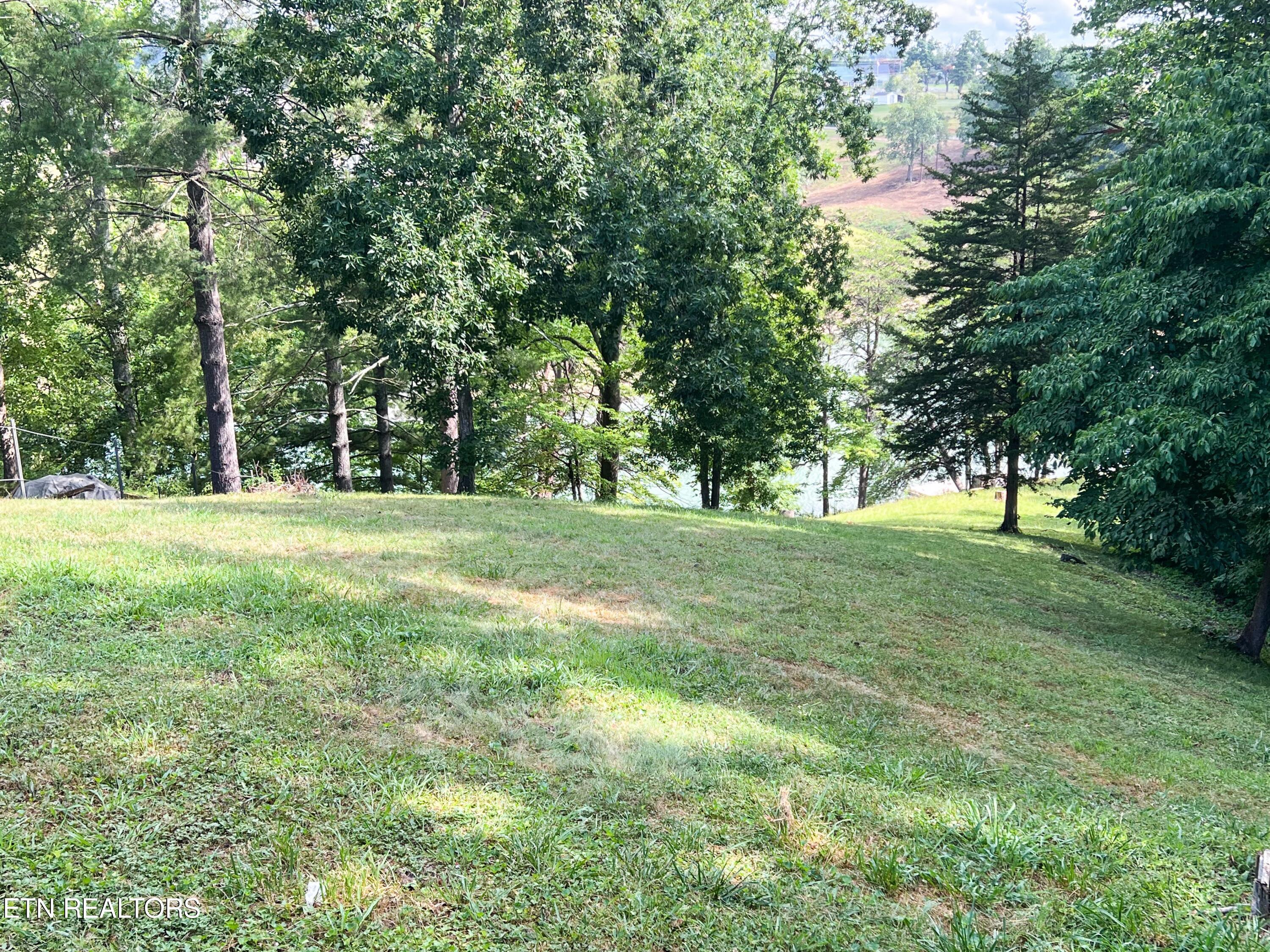 1809 Ridgecrest Drive Dandridge, TN 37725 - Photo 9 of 40 IMG_5258