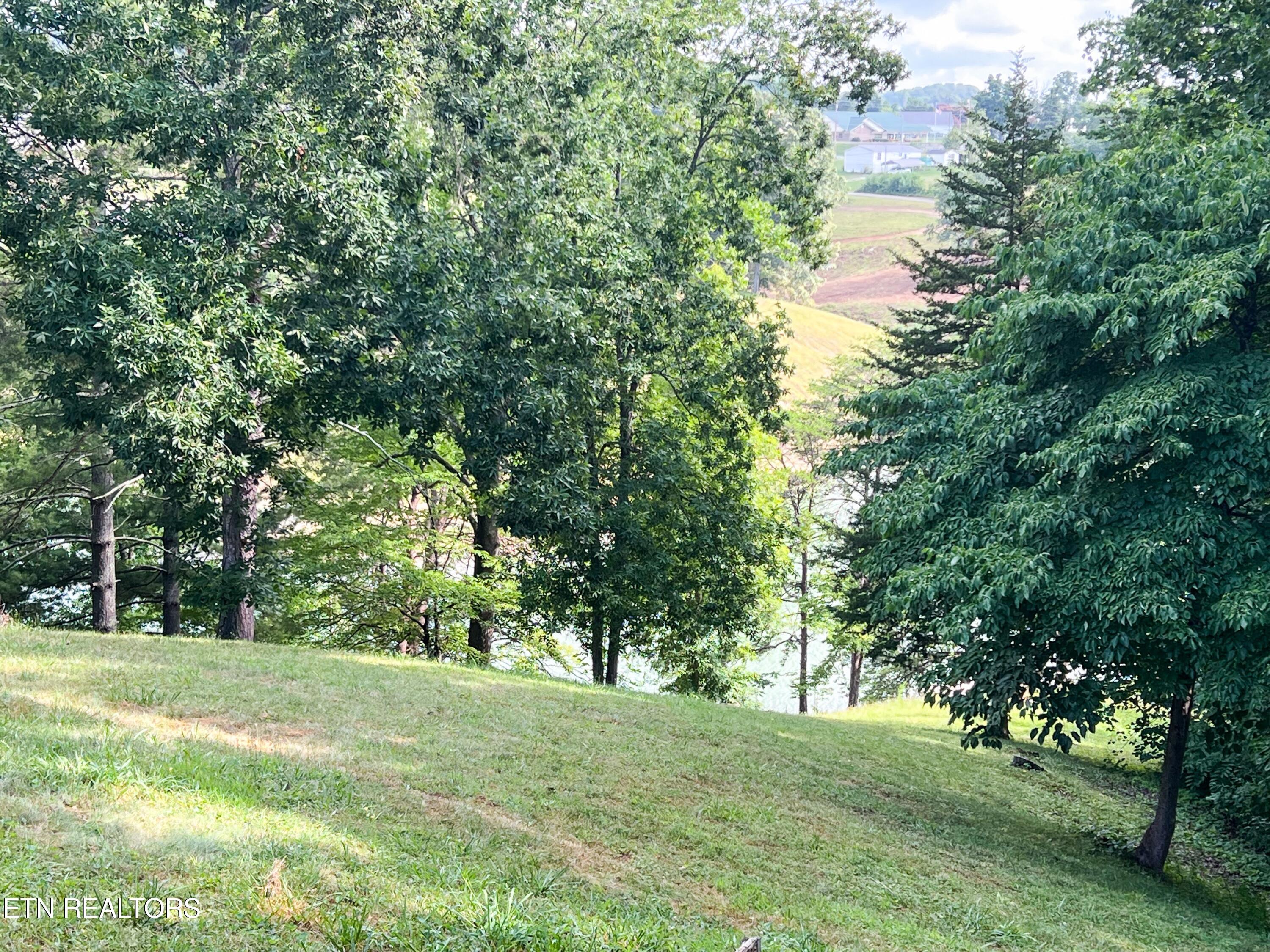 1809 Ridgecrest Drive Dandridge, TN 37725 - Photo 10 of 40 IMG_5256