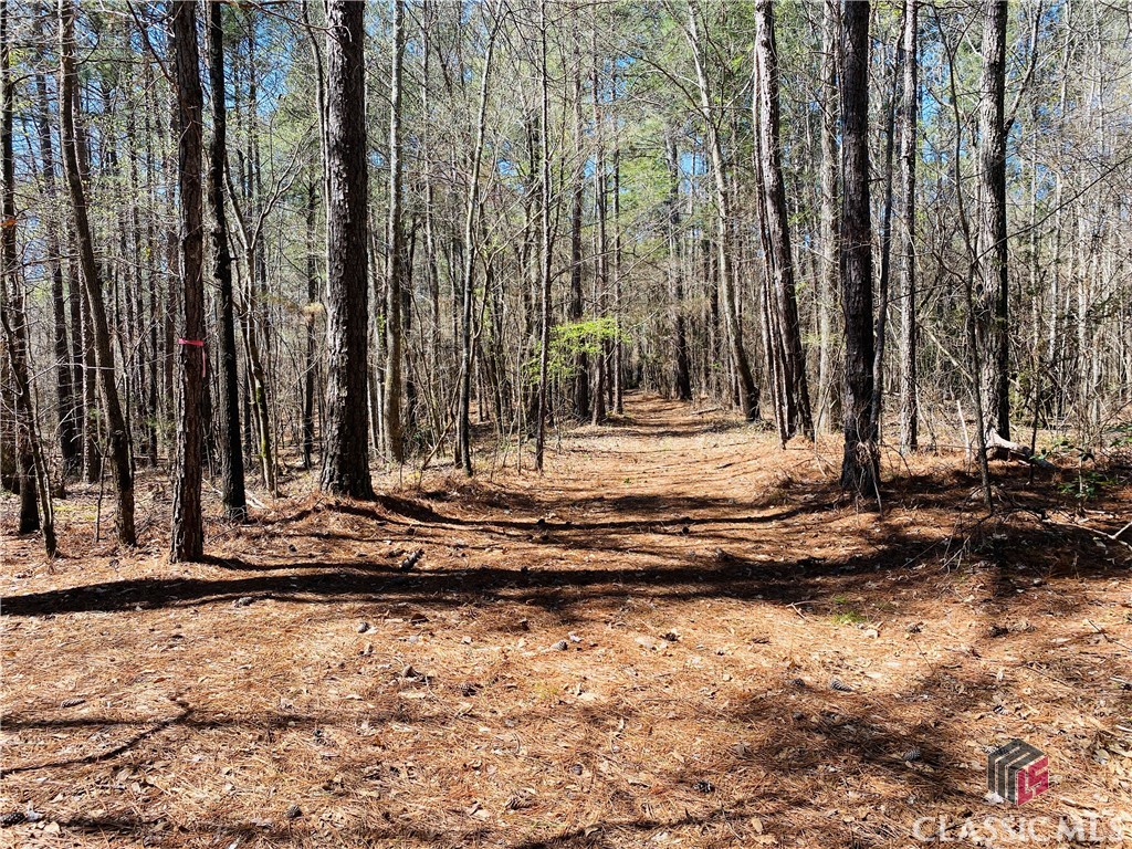 0 Winding Oak Ridge, Unit 7 Jefferson, GA 30549 - Photo 2 of 7