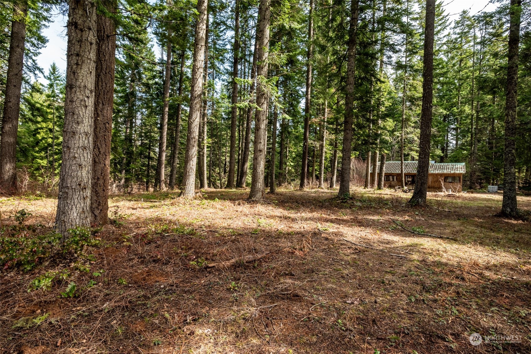 11233 Westside Road Cle Elum, WA 98922 - Photo 20 of 24 Gallery Image 20