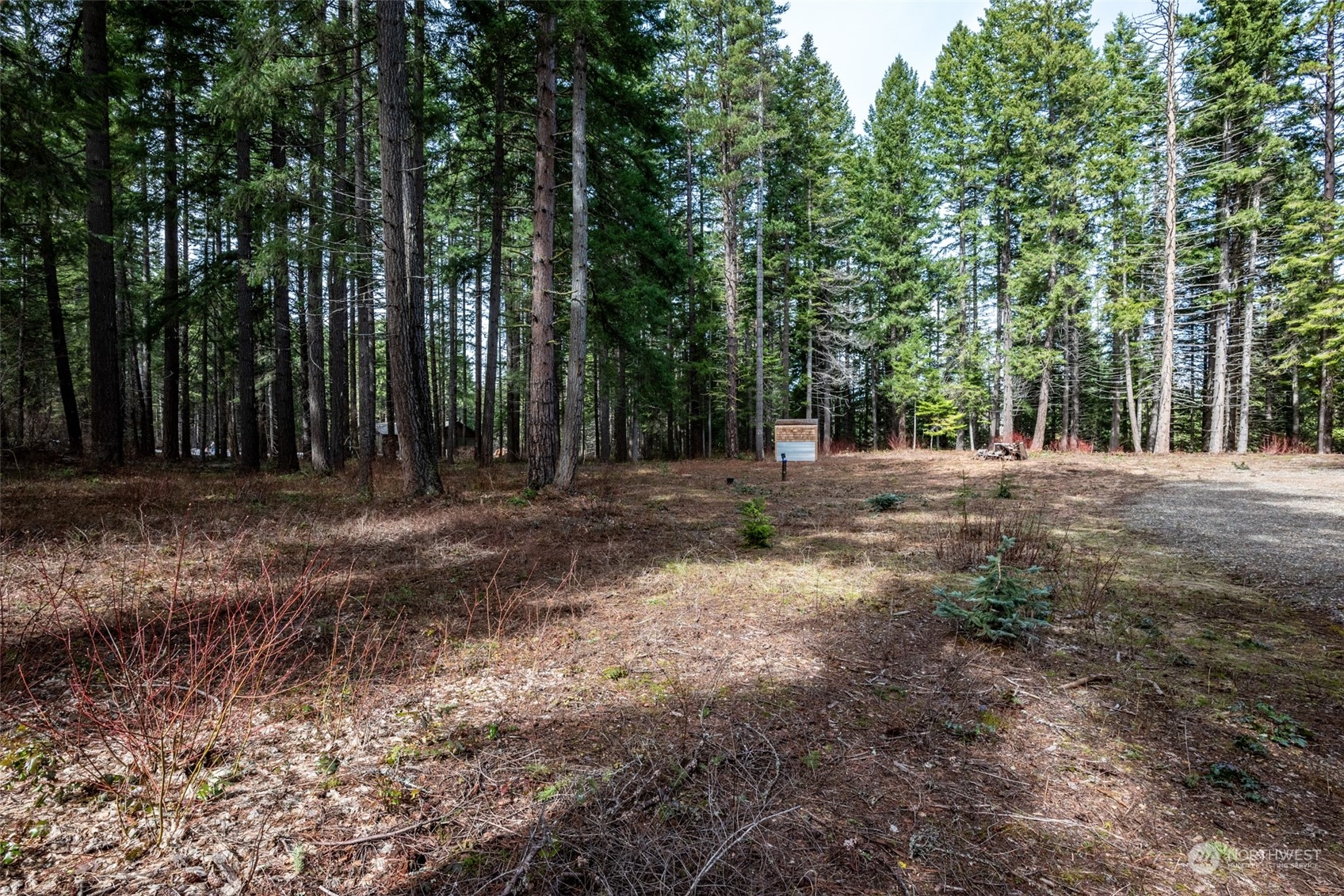 11233 Westside Road Cle Elum, WA 98922 - Photo 5 of 24 Gallery Image 5