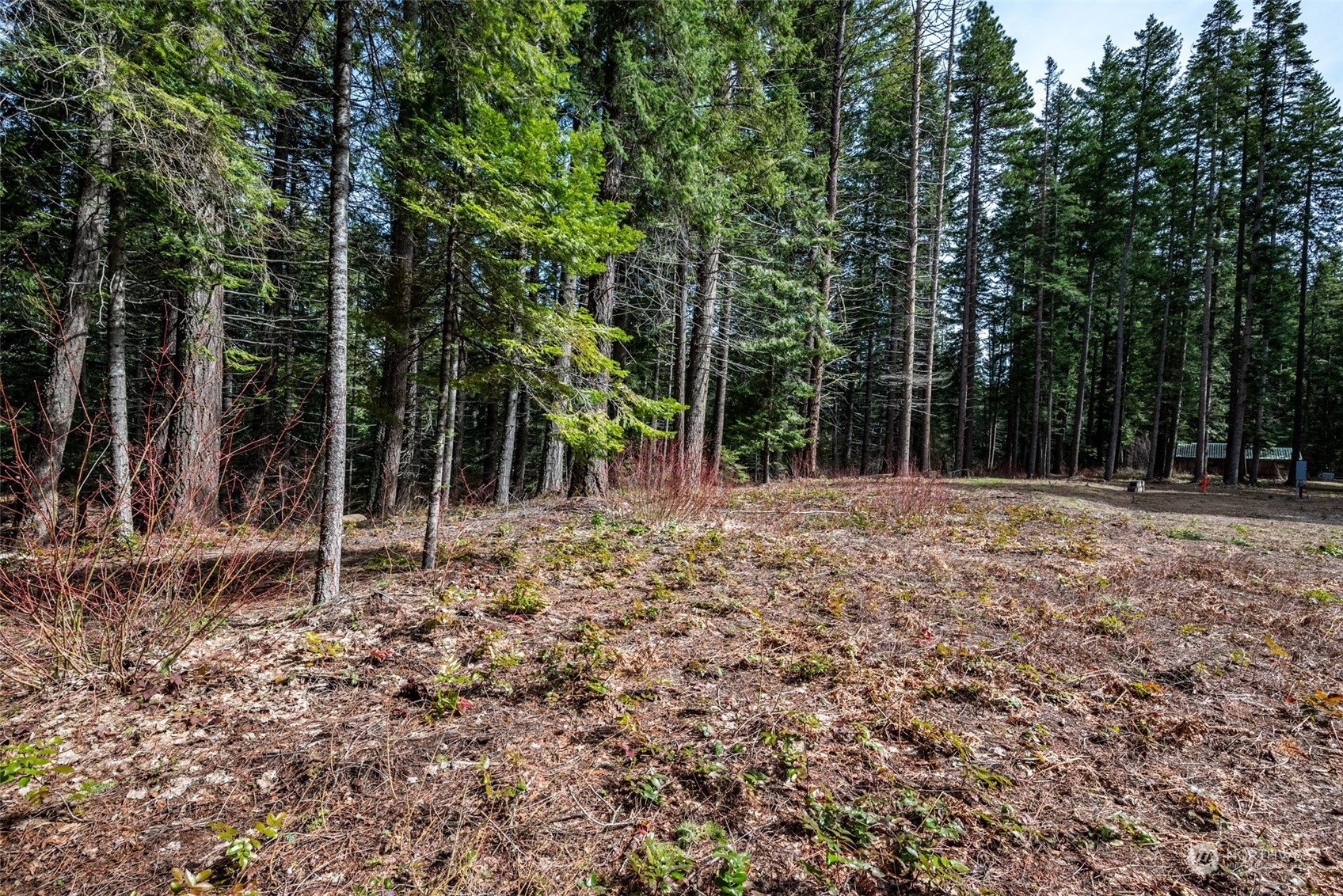 11233 Westside Road Cle Elum, WA 98922 - Photo 6 of 24 Gallery Image 6