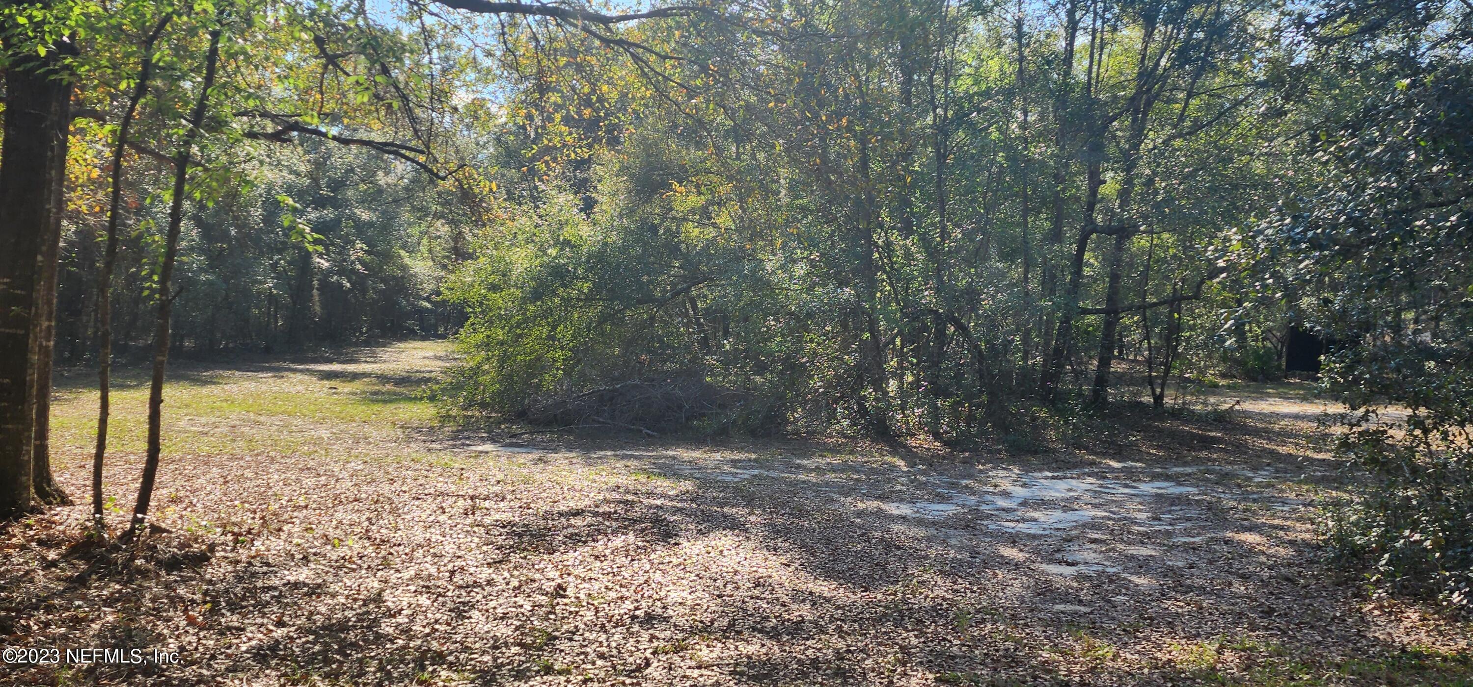 8274 Swan Lake Road Melrose, FL 32666 - Photo 14 of 18 Middle of Property