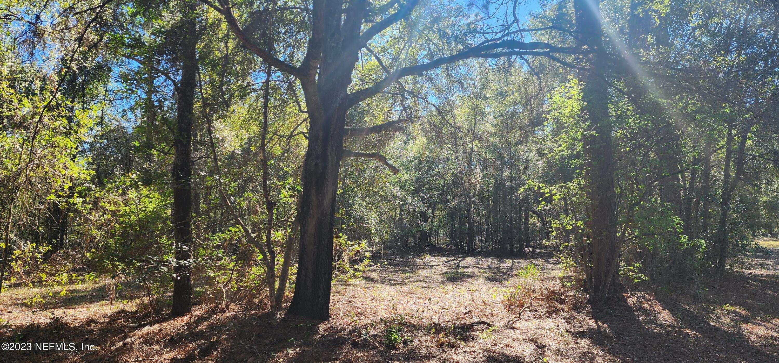8274 Swan Lake Road Melrose, FL 32666 - Photo 17 of 18 Woods Front Left