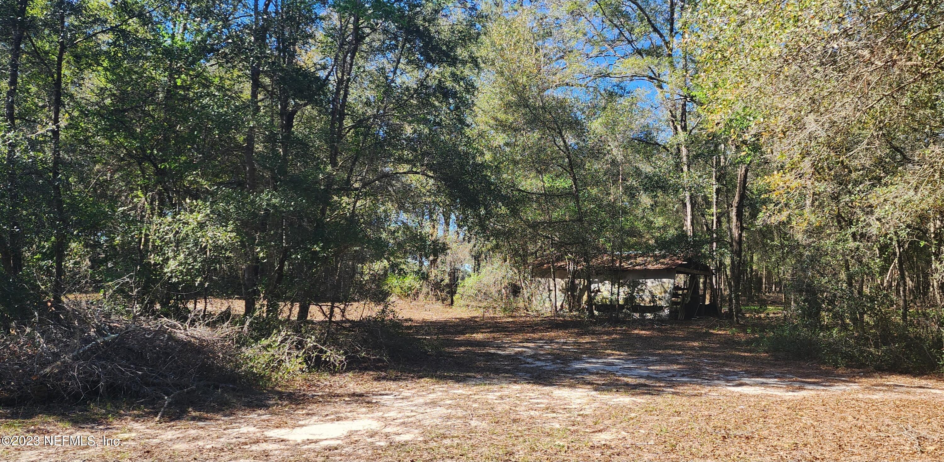 8274 Swan Lake Road Melrose, FL 32666 - Photo 18 of 18 Back of Property - Shed