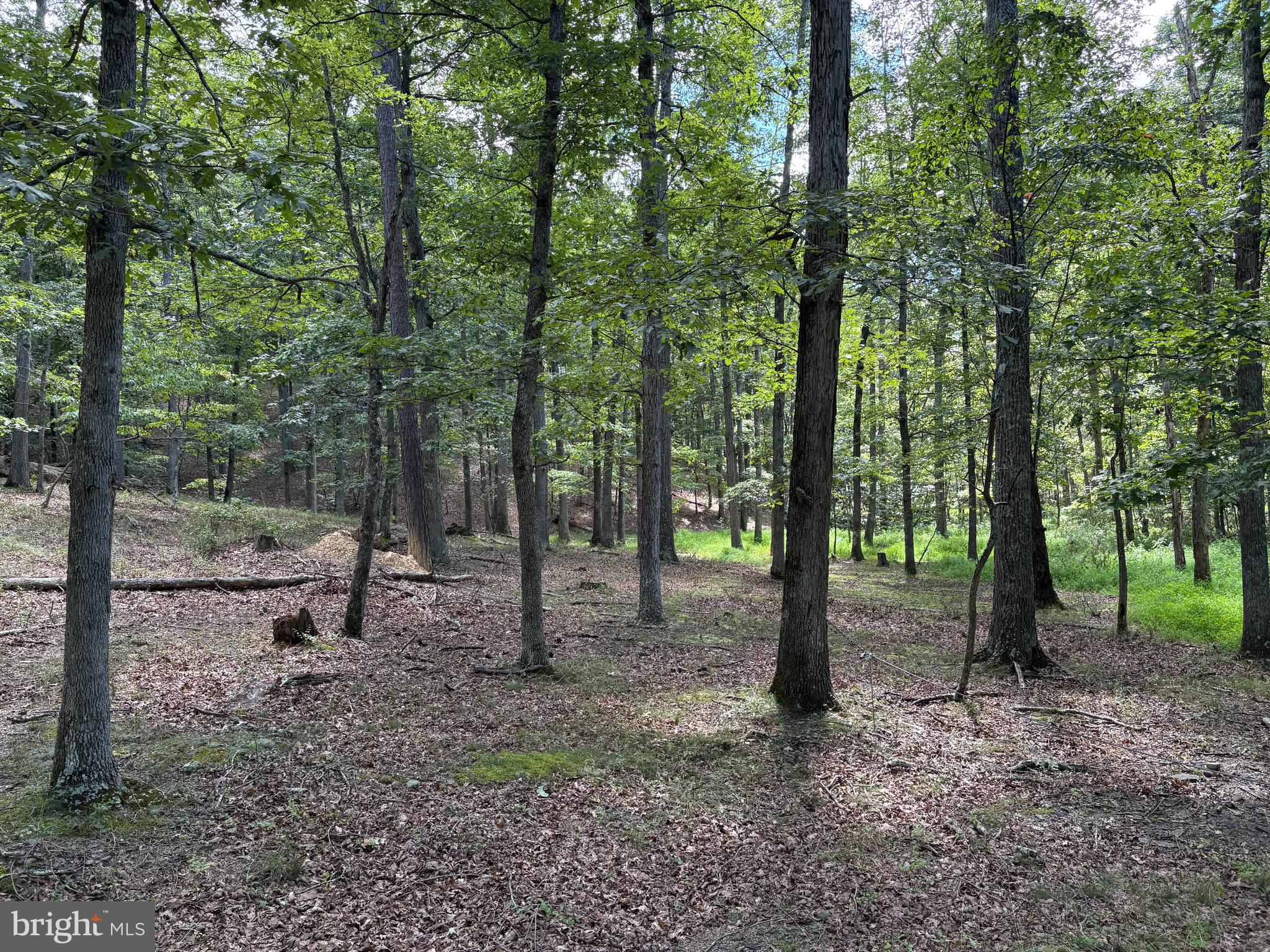 20.32-ac Trough Road Moorefield, WV 26836 - Photo 15 of 19