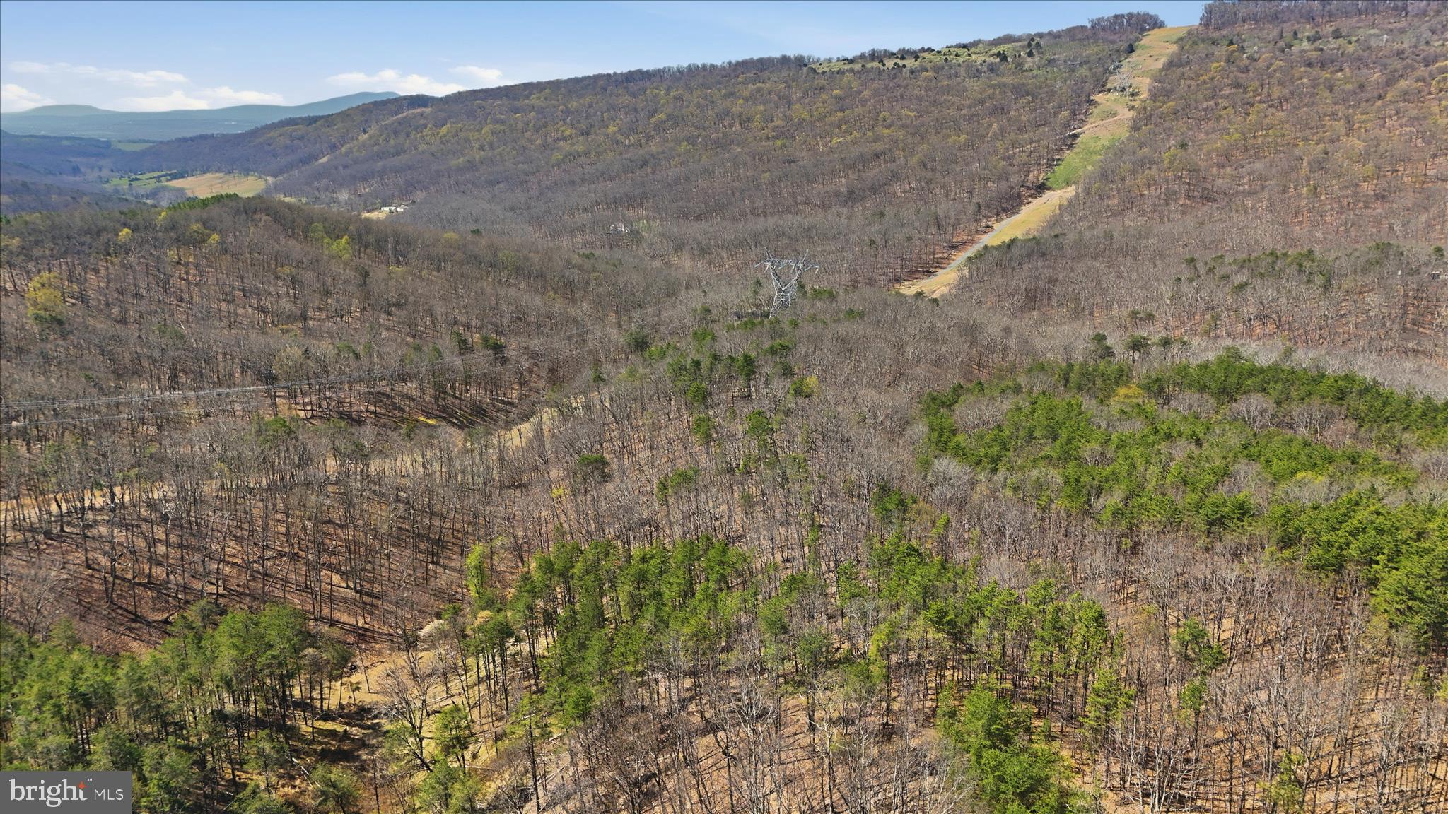 20.32-ac Trough Road Moorefield, WV 26836 - Photo 8 of 19