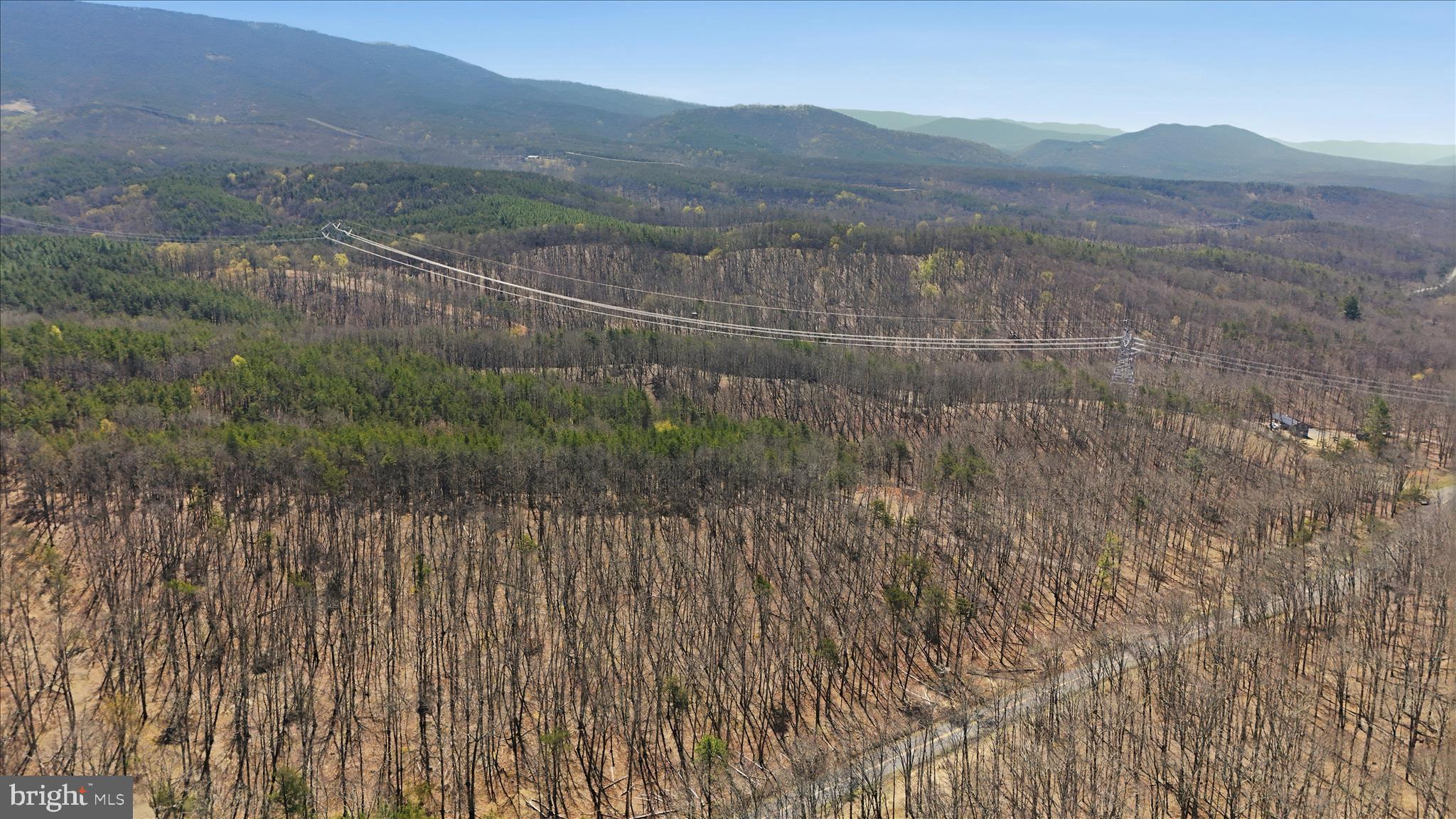 20.32-ac Trough Road Moorefield, WV 26836 - Photo 9 of 19