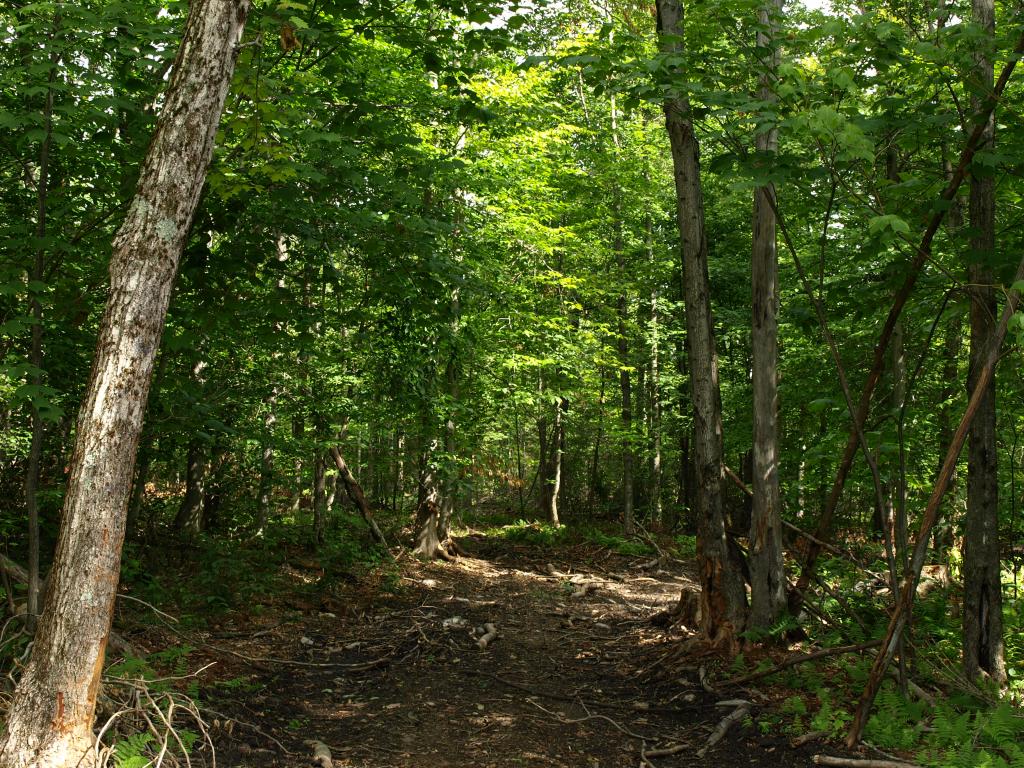 Morse Road, Unit 900 3 Jay, VT 05859 - Photo 2 of 8 Gallery Image 2