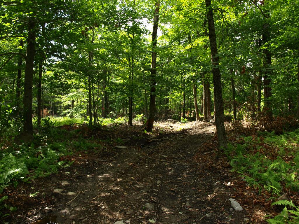 Morse Road, Unit 900 3 Jay, VT 05859 - Photo 4 of 8 Gallery Image 4