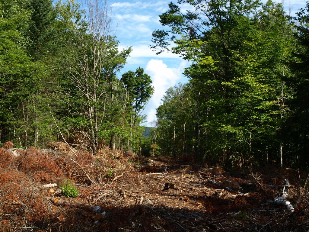 Morse Road, Unit 900 3 Jay, VT 05859 - Photo 6 of 8 Gallery Image 6