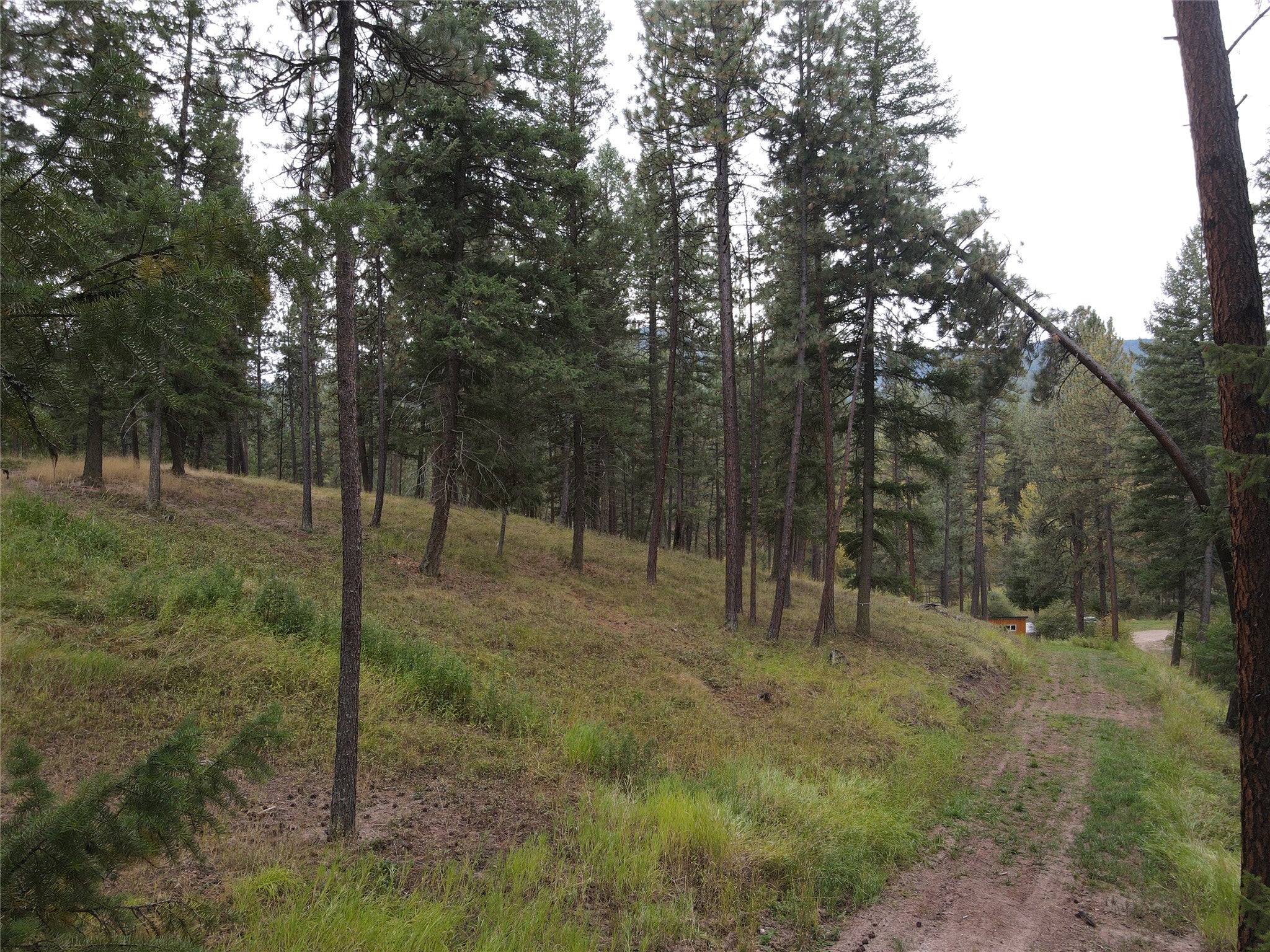 21481 9 Mile Road Huson, MT 59846 - Photo 3 of 43 Gallery Image 3