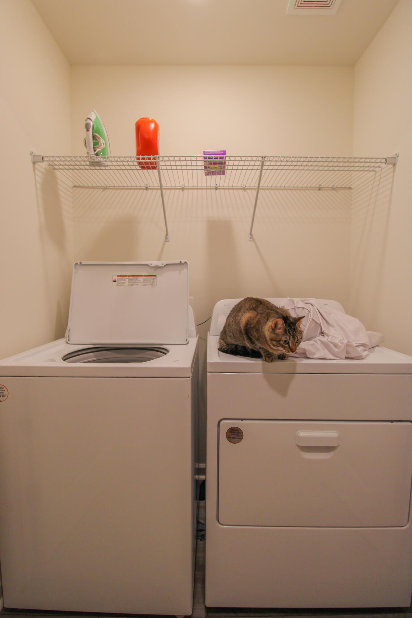 507 Scarlett Maple Street Summerville, SC 29486 - Photo 14 of 21 3C21FFD7-FD1B-424D-AC4A-B43AA65B30A5