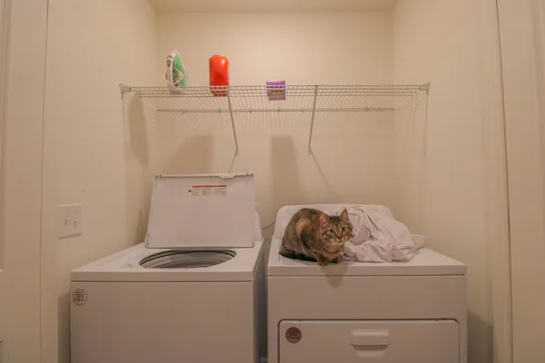 $1,900 | 507 Scarlett Maple Street, Summerville, SC 29486