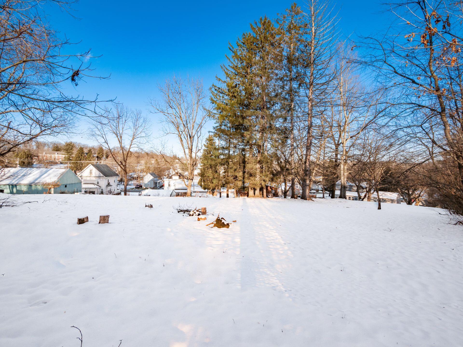 402 Sychar Road Mount Vernon, OH 43050 - Photo 51 of 53 Backyard View