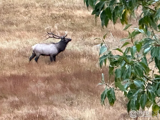 a view of a backyard of a house